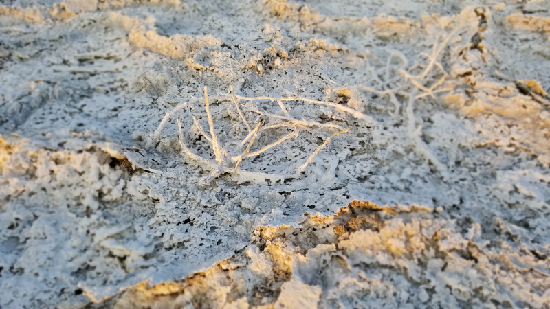 “Artistic”